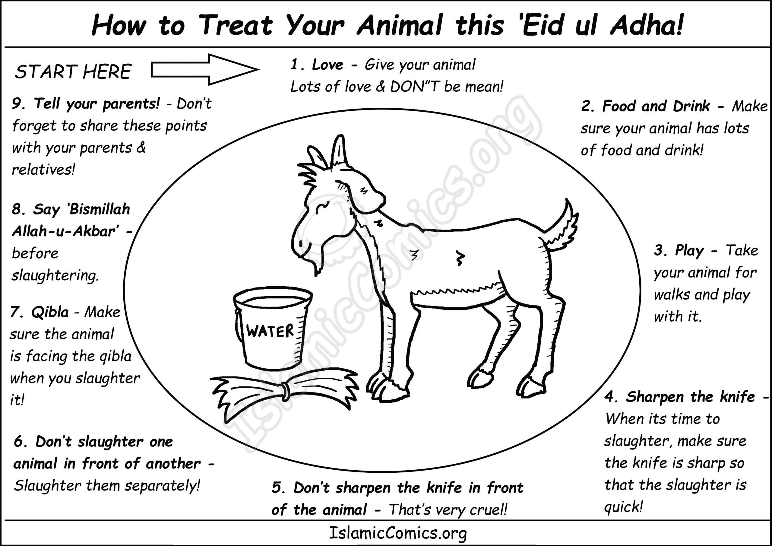 How to Treat Your Animal this Eid ul Adha - Do's and Don'ts!