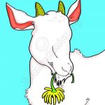 Snowy the Goat - A Poem about Eid ul Adha by Imaan Kazmi
