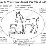 How to Treat Your Animal During Eid ul Adha (Coloring Page)
