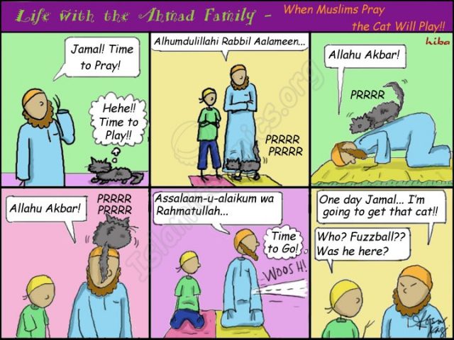 When Muslims Pray, the Cat will Play - Ahmad Family Islamic Comic