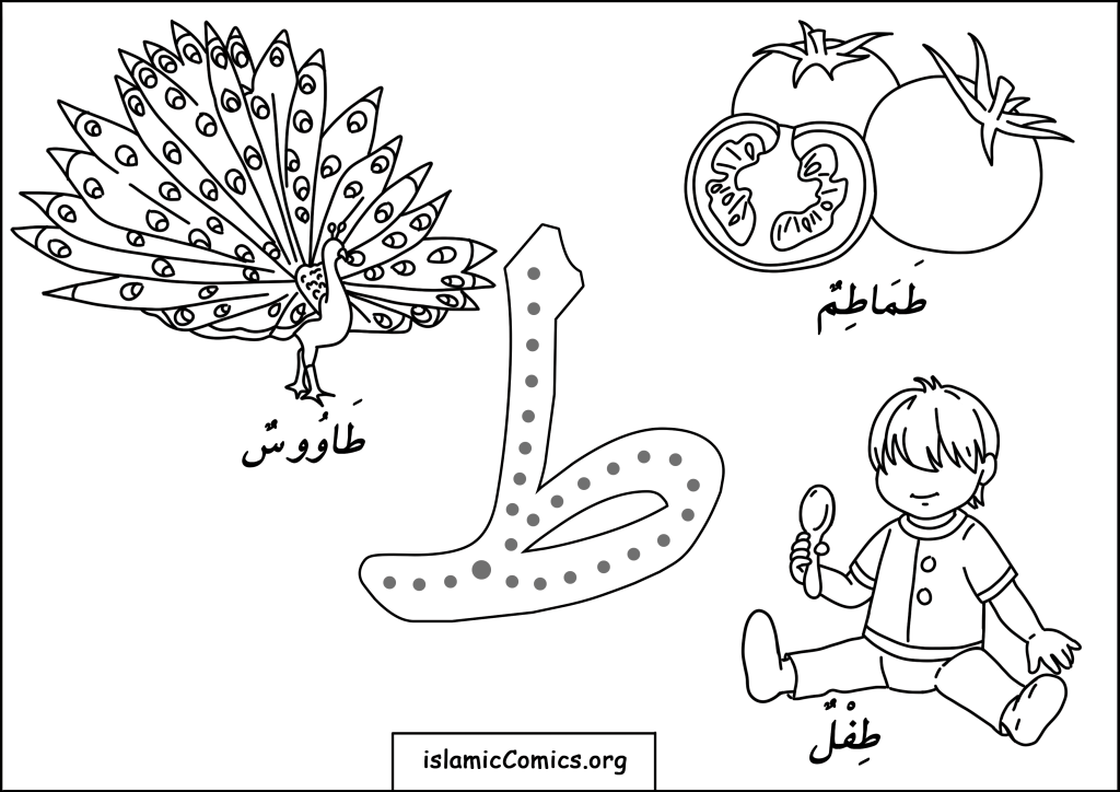 Taaw (ط) - the 16th Arabic letter