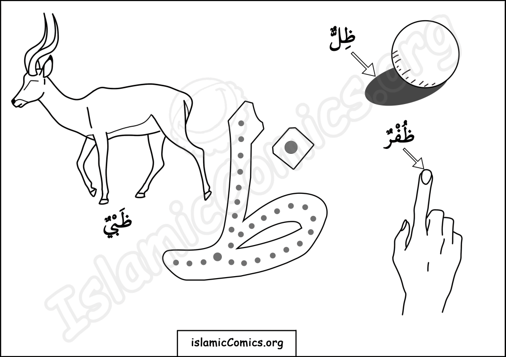 ظ (Dhaw) - Arabic Letters